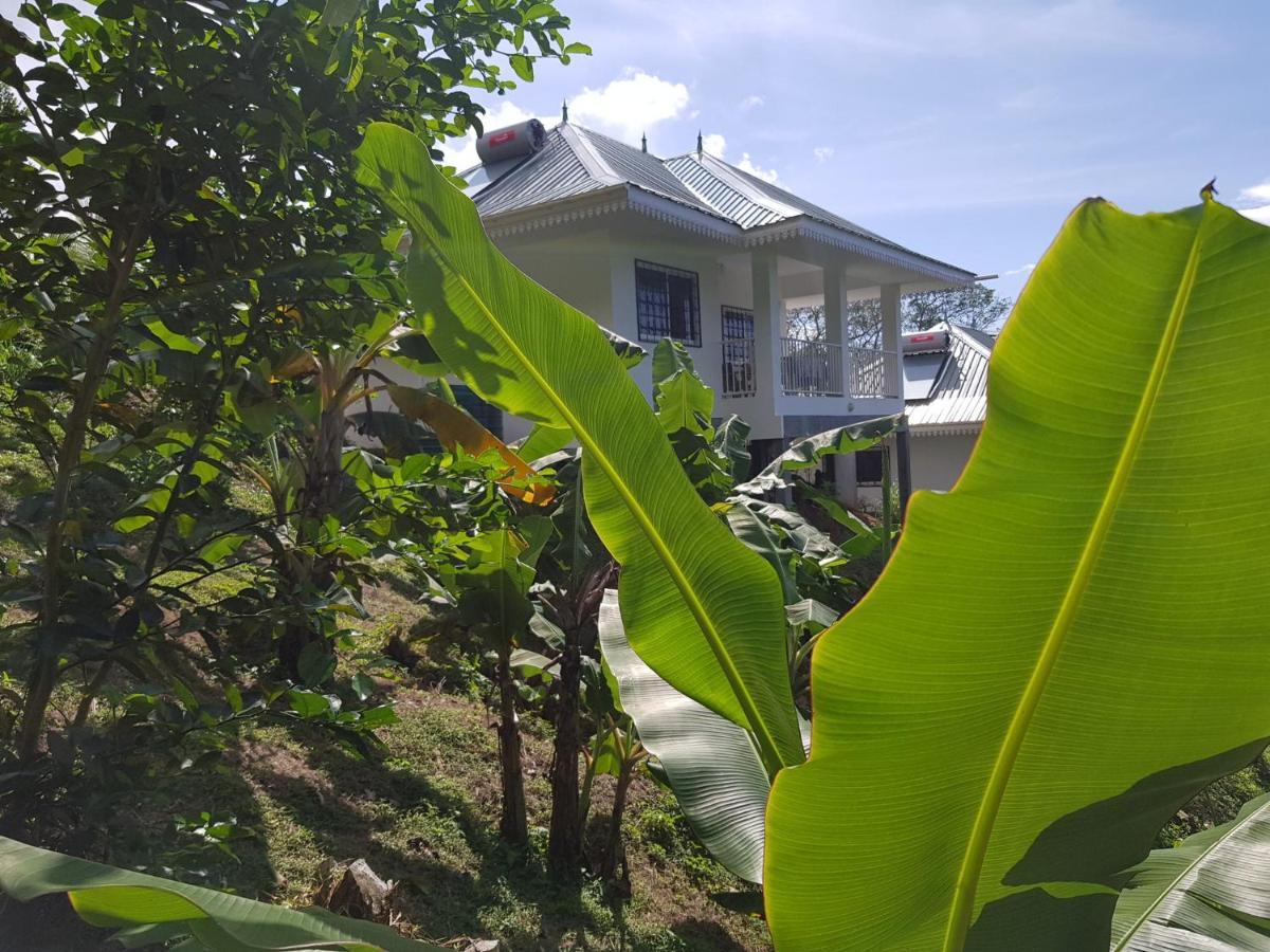 Chepsted Chalets Glacis  Εξωτερικό φωτογραφία